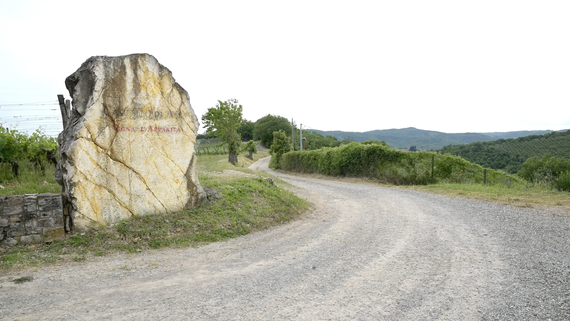Paolo Cagnacci per Castello di Ama