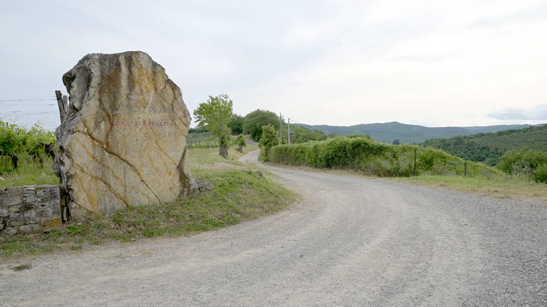 Un anno di immagini per Castello di Ama