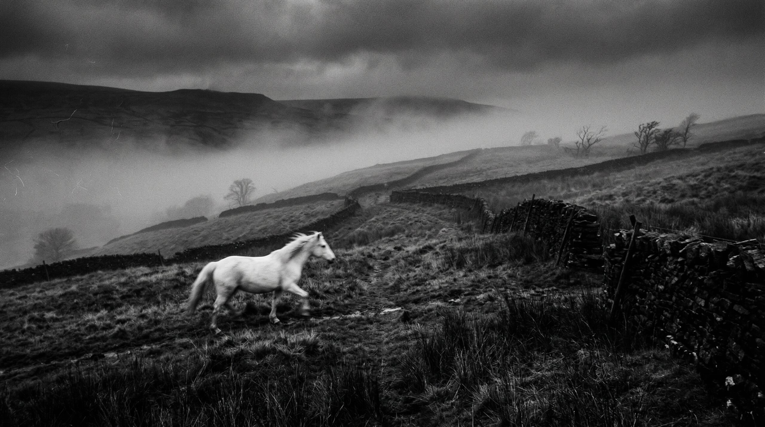 A_lone_white_horse_moving_through_a_misty_english__delpmaspu