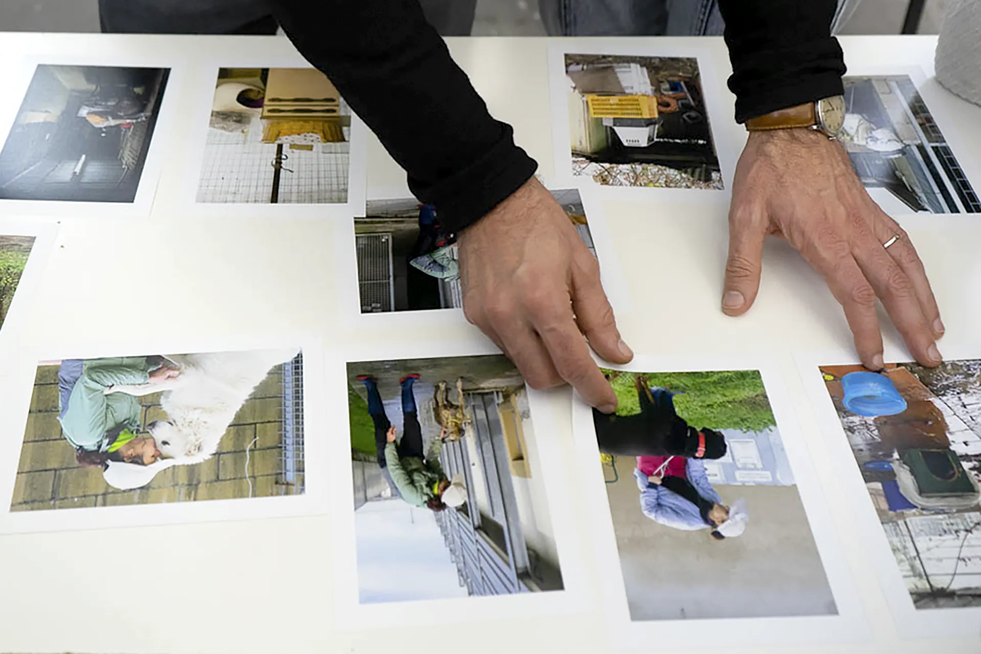Open Day letture portfolio presso Studio Marangoni a Firenze – 24 settembre 2026
